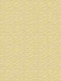 ASSETTS - SURF CLUB.psd_0001_Pattern Fill 14