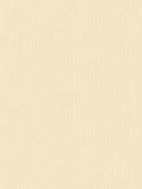 boho beachy_0005_Pattern Fill 5