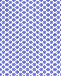 CAPRI 2025_0001s_0001_Pattern Fill 16