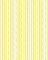 CAPRI 2025_0003s_0001_Pattern Fill 8