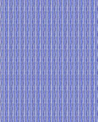 CAPRI 2025_0003s_0000_Pattern Fill 9