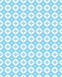 CAPRI 2025_0000s_0002_Pattern Fill 19