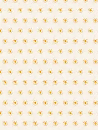Faded-desert-resorts_0003_Pattern Fill 19