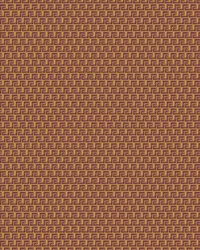 Ciao Roma assetts_0053_Pattern Fill 1