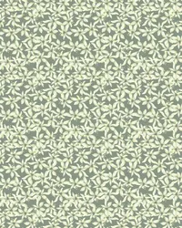 limoni_0005_Pattern Fill 3