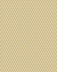 Ciao Roma assetts_0050_Pattern Fill 4