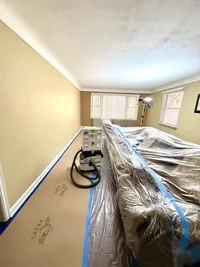 Minneapolis living room repaint in this old victorian style house by TD Interiors.