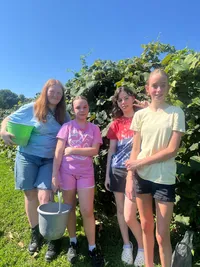 pathway kids on excursion to pick grapes