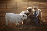 Everything Lovely Photography