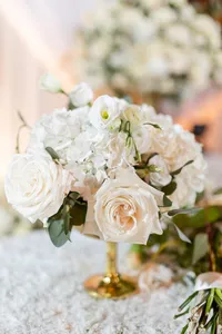 Luke and Ashley Virginia Wedding Photographers