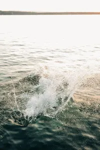 a couple hold hands as they jump off the dock into the water.