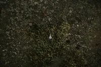 2017-10-17_0017