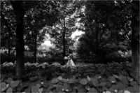 Milwaukee Wedding Photographer