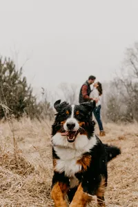 Wisconsin Wedding Photographer