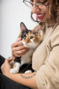 sacramento-cat-portrait-07