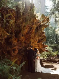 Autumn forest ceremony guided by elopement planner