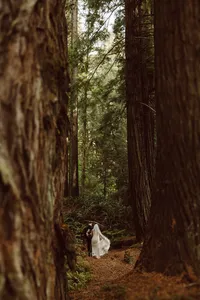 Redwoods elopement moment styled by elopement planner