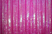 Barbie-PinkSequin-Backdrop-BananaWho-01