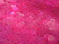 Barbie-PinkSequin-Backdrop-BananaWho-06