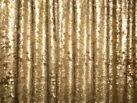Gold-Sequin-Backdrops-BananaWhoBooth