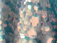 Rainbow-SequinBackdrops-BananaWho--05