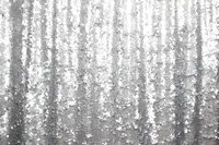 Silver-01