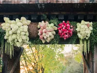 Ginny and Jourdan Wedding_115