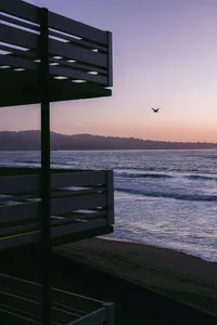 Oceanfront balconies at sunrise with a bird over the water, Monterey Beach Hotel
