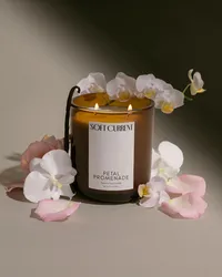 Soft Current Petal Promenade candle in moody side light, crowned with white orchids and a vanilla bean, with rose petals scattered around it. Editorial home fragrance photography by Chelsea Loren.