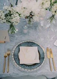 wedding reception, wedding rentals, wedding table, place setting, blue wedding