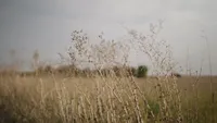 P1088647