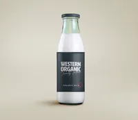 Amanda Scott Creative-WOFF-Brand Designer 05