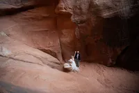 best-zion-secret-proposal-photographer-local--412_websize