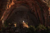 zion-wedding-photographer-the-wild-within-us-711