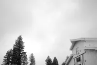 Haley-Sean-Woodlands-Colorado-Wedding-07189