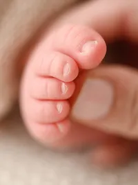 Close-up photograph of newborn baby toes by a Portland newborn photographer.