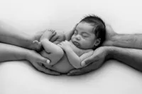 Portland Newborn Photographer