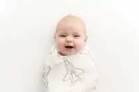 250418-LilPoshShop-APbrands19
