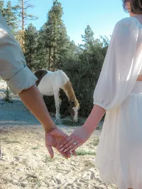 The couple holds hands in the foreground while a white and brown horse grazes nearby