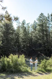 The couple holds hands and stands apart in an open, sunlit field surrounded by tall pines, as they gaze at each other from a distance.