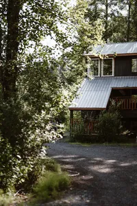 Rustic Alaska cabin with a metal roof tucked among dense trees beside a gravel driveway.