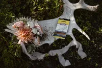 Bridal bouquet and Alaska map rest on a large moose antler on the forest floor.
