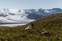 Newlyweds walk hand in hand across a green mountainside dotted with wildflowers, with a vast Alaska glacier behind them.