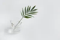 sarah-dorweiler-2s9aHF4eCjI-unsplash