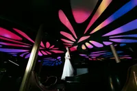 Disney-Cruise-Wedding-Jessica-Lea-Castaway-Cay-IMG_1620