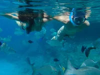 couple-snorkeling-on-the-island-of-san-andres-in-t-2026-01-11-09-00-48-utc