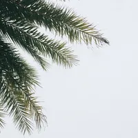 Foliage-and-Greenery20-5