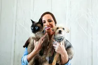 sacramento pet photographer, pet photographer sacramento, pet photos, pet photography, san francisco pet photos, pet photo sessions, pet photographer, pet photos sacramento, pet photos san francisco, family pet photos, family pet photo sessions