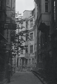 pexels-elif-aksoy-11542545