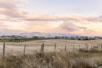 IMG_3319